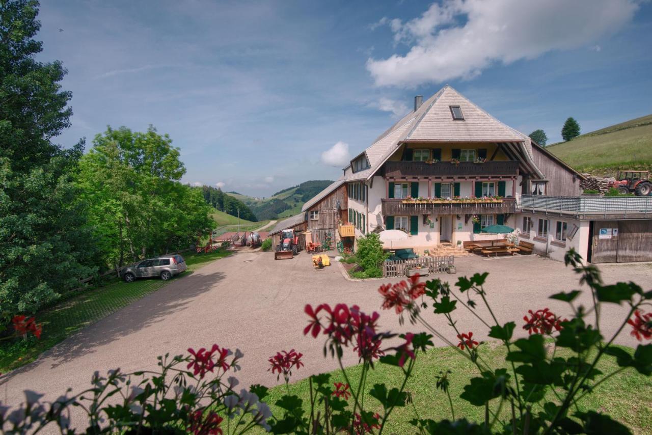Mittlerer Itzenwaldhof - Heimkehr Apartment Muenstertal Ngoại thất bức ảnh