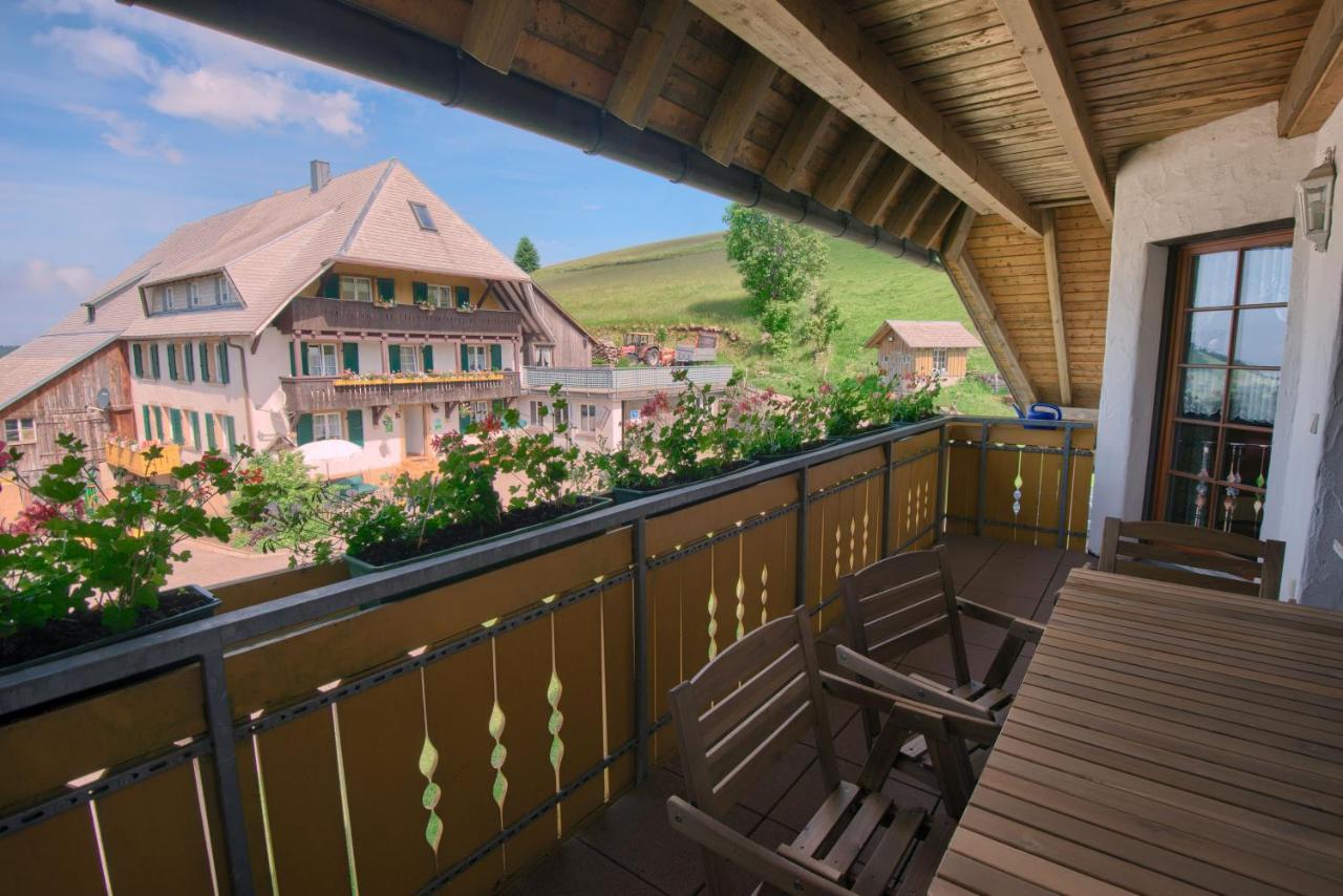Mittlerer Itzenwaldhof - Heimkehr Apartment Muenstertal Ngoại thất bức ảnh
