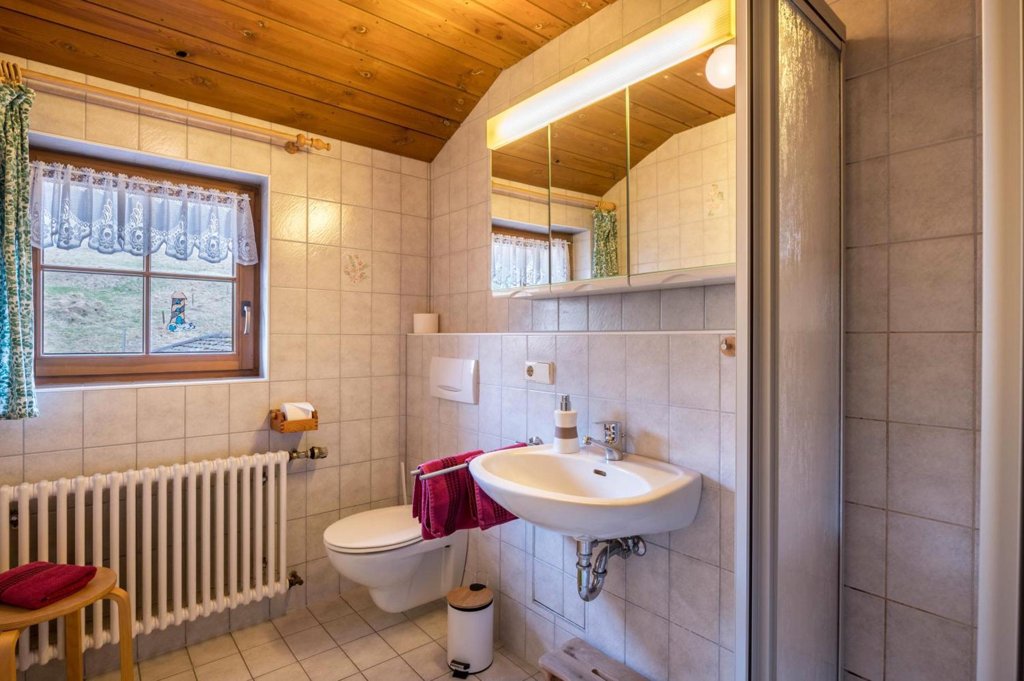 Mittlerer Itzenwaldhof - Heimkehr Apartment Muenstertal Ngoại thất bức ảnh